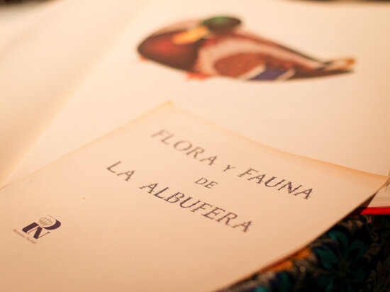 Fallas, Inauguración XIX Semana Cultural de la Falla Molinell Alboraya