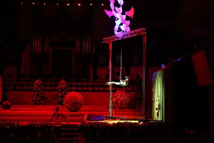 El Palau rinde homenaje a Daniela Gómez de los Ángeles